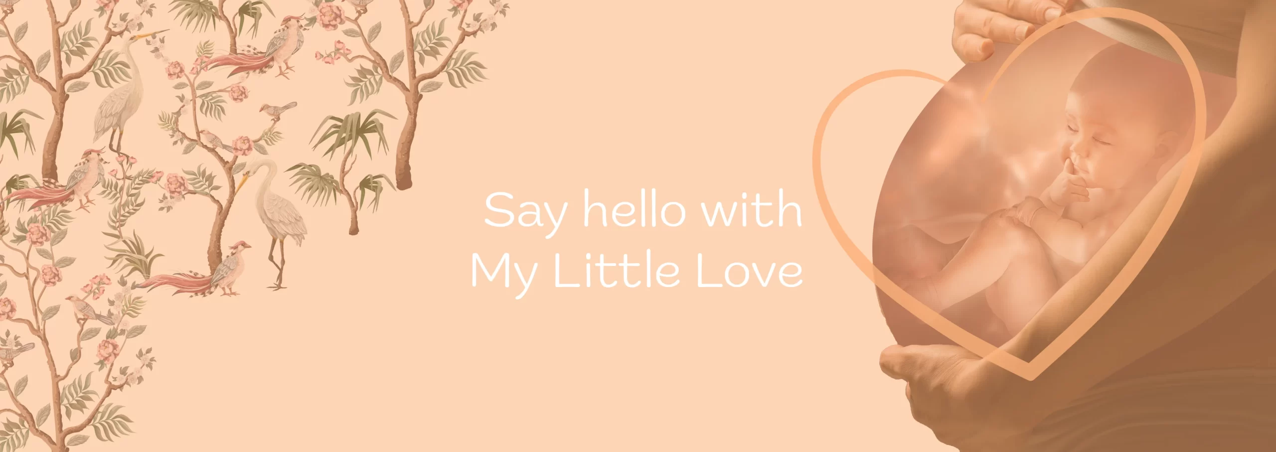 home-4D scan ultrasound 2 say hello to baby with ultrasound 4D scan