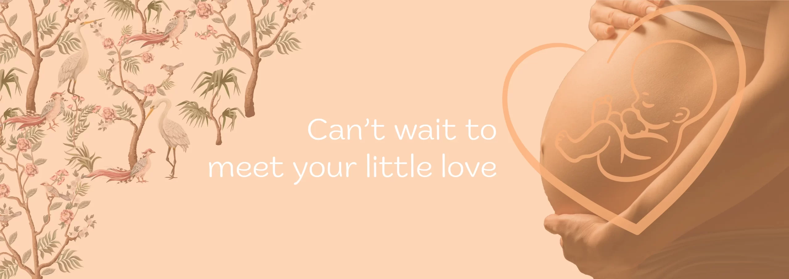 want to meet baby with ultrasound 4D scan