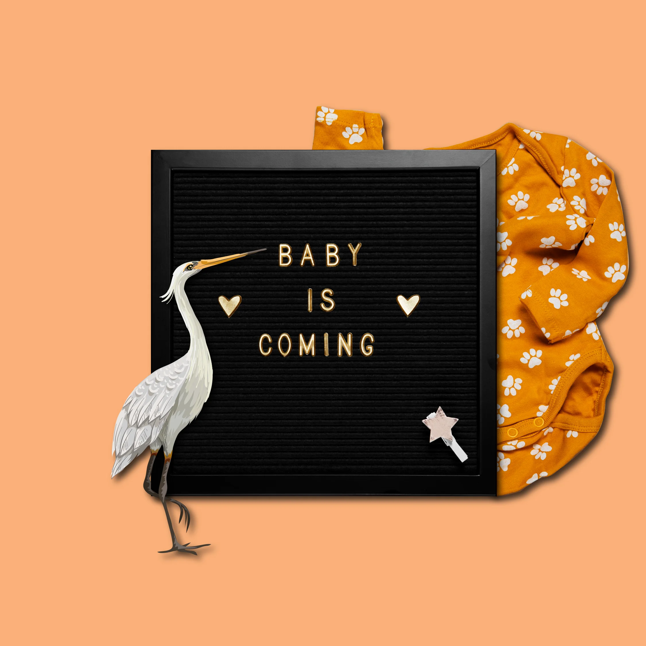 Fetal anomaly ultrasound scan